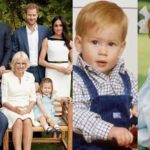 Prince Harry makes final decision about Prince Archie, Lilibet’s future